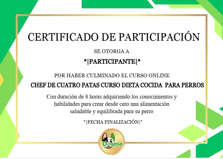 opiniones del curso "Chef de cuatro patas: dieta cocida para perros". Ejemplo certificado de participación.