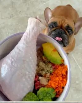 opiniones del curso "Chef de cuatro patas: dieta cocida para perros".