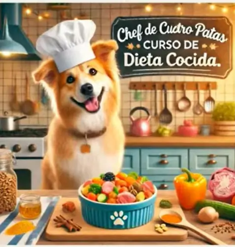 opiniones del curso "Chef de cuatro patas: dieta cocida para perros".