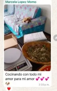 opiniones  y testimonios de alumnos del curso "Chef de cuatro patas: dieta cocida para perros"