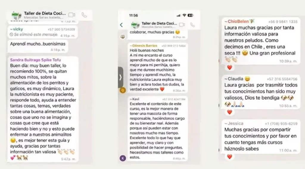 opiniones y testimonios de alumnos del curso Chef de cuatro patas