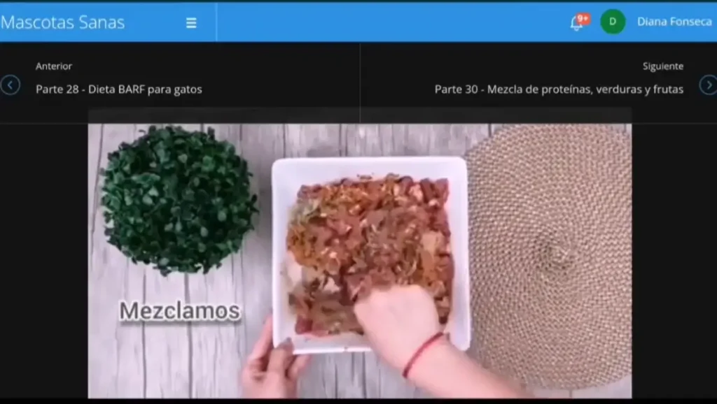 Opiniones Curso Mascotas Sanas, visto por dentro