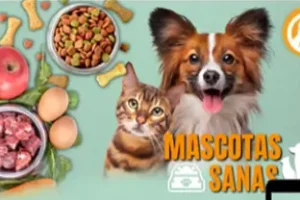 Opinión honesta (2026) curso «Mascotas Sanas» – ¿Funciona y es seguro para tu mascota?