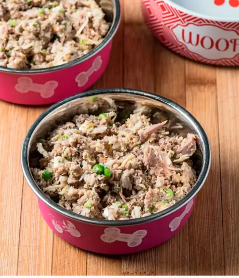 opiniones curso Mascotas Sanas