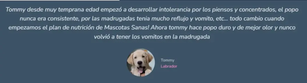 testimonios alumnos Mascotas Sanas