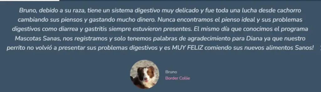 testimonios alumnos Mascotas Sanas