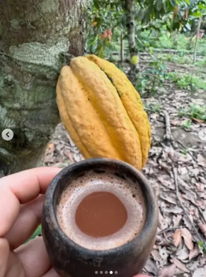 Cacao ceremonial puro de CacaoAmor